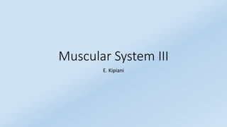 Muscular System III
E. Kipiani
 