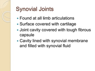 Synovial Joints
 Found at all limb articulations
 Surface covered with cartilage
 Joint cavity covered with tough fibrous
capsule
 Cavity lined with synovial membrane
and filled with synovial fluid
 