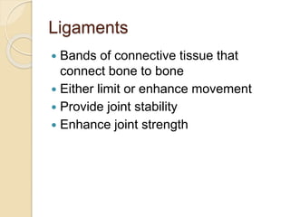 Ligaments
 Bands of connective tissue that
connect bone to bone
 Either limit or enhance movement
 Provide joint stability
 Enhance joint strength
 