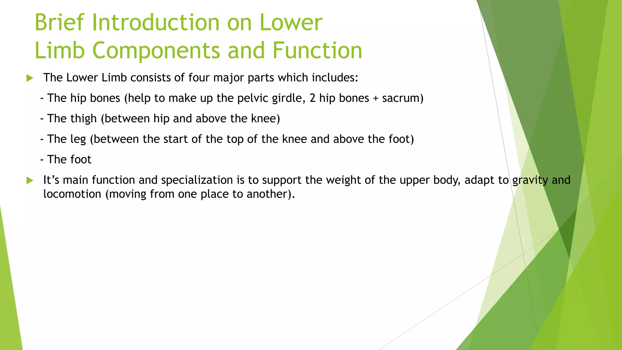 Musculoskeletal system – movements of the lower limb technologies | PPTX