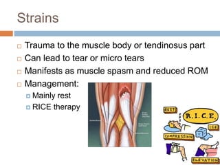 Strains
 Trauma to the muscle body or tendinosus part
 Can lead to tear or micro tears
 Manifests as muscle spasm and reduced ROM
 Management:
 Mainly rest
 RICE therapy
 
