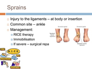 Sprains
 Injury to the ligaments – at body or insertion
 Common site – ankle
 Management:
 RICE therapy
 Immobilisation
 If severe – surgical repair
 