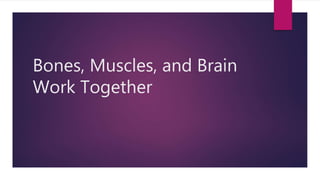 Bones, Muscles, and Brain
Work Together
 