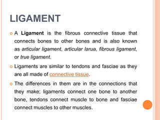 LIGAMENT
 A Ligament is the fibrous connective tissue that
connects bones to other bones and is also known
as articular ligament, articular larua, fibrous ligament,
or true ligament.
 Ligaments are similar to tendons and fasciae as they
are all made of connective tissue.
 The differences in them are in the connections that
they make; ligaments connect one bone to another
bone, tendons connect muscle to bone and fasciae
connect muscles to other muscles.
 