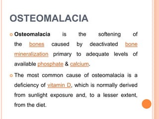 OSTEOMALACIA
 Osteomalacia is the softening of
the bones caused by deactivated bone
mineralization primary to adequate levels of
available phosphate & calcium.
 The most common cause of osteomalacia is a
deficiency of vitamin D, which is normally derived
from sunlight exposure and, to a lesser extent,
from the diet.
 