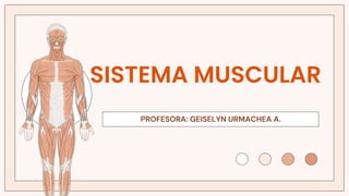 PROFESORA: GEISELYN URMACHEA A.
SISTEMA MUSCULAR
 