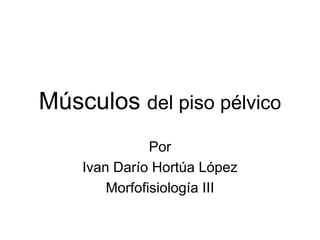 Músculos del piso pélvico
               Por
    Ivan Darío Hortúa López
        Morfofisiología III
 