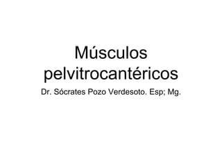 Músculos
pelvitrocantéricos
Dr. Sócrates Pozo Verdesoto. Esp; Mg.
 