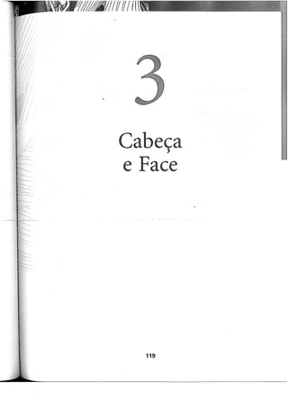 Cabeça
e Face
119
 