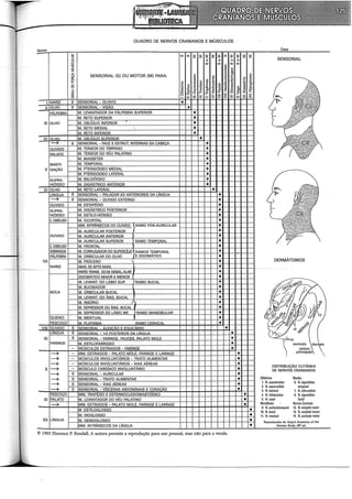 QUADRO DE NERVOS CRANIANOS E MÚSCULOS
N me
o Data
a: cn cn 2 2 2 2 2 cn 2 2 2 2
:5
" " " "
SENSORIAL
:::>
u cn cn :;; cn cn
cn
:::>
" o
:;; "ll
"
(). ~
o C>
o
SENSORIAL {S) OU MOTOR {M) PARA: " c:
~ ~
o ;:
.E "' -
a:
"'
o o :; .!!! o
u.. o E :;;
" " ..c o .o c,
w
] o o
" E " m ti "' "' o
o
" :; "ll
'" " 'ü
"' o "' a.
·a o C>
"O
~
o C>
"'
:::> .!!! "
..c "' a " 5:
<(
i5 -o o F j!: <( I.L
~ <(
a:
C!) - = > > > > > X X x x
I NARIZ s SENSORIAL- OLFATO •
11 OLHO s SENSORIAL- VISÃO •
PÁLPEBRA M. LEVANTADOR DA PÁLPEBRA SUPERIOR
t± •
M. RETO SUPERIOR •
111 OLHO M. OBLfQUO INFERIOR •
M. RETO MEDIAL ·. •
M. RETO INFERIOR •
IV OLHO M. OBLÍQUO SUPERIOR •
~ s SENSORIAL- FACE E ESTRUl: INTERNAS DA CABEÇA •
OUVIDO M. TENSOR DO TÍMPANO •
PALATO M. TENSOR DO VÉU PALATINO •
M. MASSETER •
MASTI- M.TEMPORAL •
V GAÇÃO M. PTERIGÓIDEO MEDIAL •
M. PTERIGÓIDEO LATERAL •
SUPRA- M. MILOIÓIDEO •
HIÓIDEO M. DIGÁSTRICO ANTERIOR •
VI OLHO M. RETO LATERAL •
LÍNGUA s SENSORIAL - PALADAR 213 ANTERIORES DA lÍNGUA •
~ s SENSORIAL- OUVIDO EXTERNO •
OUVIDO M. ESTAPÉDIO •
SUPRA- M. DIGÁSTRICO POSTERIOR
=m
HIÓIDEO M. ESTILO-HIÓIDEO
C. CABELUDO M. OCCIPITAL
MM. INTRÍNSECOS DO OUVIDO RAMO PÓS~AURICULAR •
M. AURICULAR POSTERIOR •
OUVIDO M. AURICULAR ANTERIOR •
M. AURICULAR SUPERIOR RAMO TEMPORAL •
C. CABELUDO M. FRONTAL •
SOBRANCELIIA M. CORRUGADOR DO SUPERCÍUO RAMOS TEMPORAL •
PÁLPEBRA M. ORBICULAR DO OLHO E ZIGOMÁTICO •
VIl M. PRÓCERO ...,
• DERMÁTOMOS
NARIZ ABAIX. DO SEPTO NASAL •
PARTE TRANS. DOM. NASAl..AlAR •
ZIGOMÁTICO MAIOR E MENOR •
M. LEVANT. DO LÁBIO SUP. RAMO BUCAL •
c~
M. BUCINADOR •
BOCA M. ORBICULAR BUCAL •
M. LEVANT. DO ÃNG. BUCAL • ~jí .
M. RISÓRIO •
M. DEPRESSOR DO ÁNG. BUCAL • '
~3 6 3, . ri$ "?'
M. DEPRESSOR DO LÁBIO INF. • ~f'/ .::) ~
RAMO MANDIBULAR
çr0}H~~~ § 9 Y 13  2
QUEIXO M.MENTUAL •
PESCOÇO M. PLATISMA RAMO CERVICAL • ~~ 10~. P.>
_VIII OUVIDO ' s SENSORIAL- AUDICÃO E EQUILÍBRIO • '/ ~o
 14 fvç:; (
LINGUA s SENSORIAL- 1/3 POSTERIOR DA lÍNGUA • r1k- ~
IX s SENSORIAL FARINGE, FAUCES, PALATO MOLE o
~1s I
FARINGE M. ESTILOFARÍNGEO • ventrais dorsais
- MÚSCULOS ESTRIADOS - FARINGE • ramos 
~ - MM. ESTRIADOS- PALATO MOLE, FARINGE E LARINGE o principais 
~ - MÚSCULOS INVOLUNTÁRIOS- TRATO ALIMENTAR o
~ - MÚSCULOS INVOLUNTÁRIOS- VIAS AÉREAS o
DISTRIBUIÇÃO CUTÂNEA
X~ - MÚSCULO CARDÍACO INVOLUNTÁRIO o DE NERVOS CRANIANOS
~ s SENSORIAL- AURICULAR o
~ s SENSORIAL- TRATO ALIMENTAR • Oftálmico Maxilar
~ s SENSORIAL- VIAS AÉREAS o 1. N.supratroclear 6. N. zigomático-
~ s SENSORIAL - VÍSCERAS ABDOMINAIS E CORACÃO o 2. N. supra-orbital temporal
3. N.lacrimal 7. N. infra-orbital
PESCOÇO MM. TRAPÉZIO E ESTERNOCLEIDOMASTÓÍDEO • 4. N. infratroclear 8. N. zigomático-
XI PALATO M. LEVANTADOR DO VÉU PALATINO • 5. N. nasal facial
~ MM. ESTRIADOS- PALATO MOLE, FARINGE E LARINGE • Mandibular -.
Nervos Cervicais
M .ESTILOGLOSSO • 9. N. auriculotemporal 12. N. occipital maior
10. N. bucal 13. N. occipital menor
M. HIOGLOSSO • 11. N.mentual 14. N. auricular maior
XII LfNGUA M. GENIOGLOSSO • Reproduzido de Gray's Anatomy of the
MM. INTRÍNSECOS DA LfNGUA • Human Body, 2a• ed.
© 1993 Florence P. Kendall. A autora permite a reprodução para uso pessoal, mas não para a venda.
 