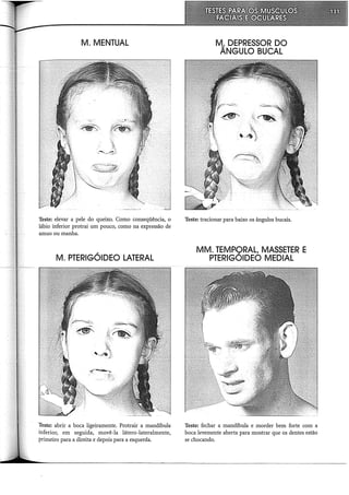 M. MENTUAL
Teste: elevar a pele do queixo. Corno conseqüência, o
lábio inferior protrai um pouco, corno na expressão de
amuo ou manha.
M. PTERIGÓIDEO LATERAL
Teste: abrir a boca ligeiramente. Protrair a mandíbula
inferior, em seguida, movê-la látero-lateralrnente,
primeiro para a direita e depois para a esquerda.
M. DEPRESSOR DO
ÂNGULO BUCAL
Teste: tracionar para baixo os ângulos bucais.
MM. TEMPORAL, MASSETER E
PTERIGÓIDEO MEDIAL
Teste: fechar a mandíbula e morder bem forte com a
boca levemente aberta para mostrar que os dentes estão
se chocando.
 