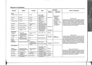Músculos da Deglutição
r:~.~.-~· ~·~cr~:=::::::zr::::r~~,. .. ~:-:-0-"'~"'1,"'~·~
·~·' ·-.:·' ":'"·.,..7:'7"'·
··~~
Músculo Origem Inserção Ação
lnervação
Papel na Deglutição
Motora Sensorial
LÍNGUA
Longitudinal superior lntrinseca lntrinseca Encurta a lfngua
Eleva as laterais e a
Sensibilidade geral:
ponta da lfngua
2/3 anteriores -
Transverso lntrfnseca lntrinseca Alonga e estreita a Hipoglosso XII Trlgêmeo V
lfngua 1/3 posterior- Preparação do Bolo
Vertical lntrlnseca lntrinseca Achata e alarga a Glossofaringeo IX
Durante esta fase, os músculos da lfngua e bucinadores mantêm o
lfngua Base- Vago X
alimento entre os dentes molares, o qual é esmagado e moldo pela
Longitudinal inferior lntrinseca lntrinseca Encurta a lfngua Sensibilidade especial ação dos músculos da mastigação. Os movimentos látero-laterais
Vira a ponta da lfngua (paladar) alternados e a rotação da lfngua, realizados principalmente por
para baixo 2/3 anteriores - Facial VIl músculos intrinsecos e pelos estiloglossos atuando unilateral-
Genioglosso Espinha do manto Llngua e corpo do Deprime, protrai e retrai a 1/3 posterior- mente, ajudam na mistura do alimento com a saliva e na liberação
hiólde lingua e eleva o hióide Glossofaringeo IX de particulas maiores da porção suficientemente molda que está
Hioglosso Corno maior do hióide Llngua Deprime e !raciona a lfn-
Base- Vago X pronta para ser incorporada no bolo e deglutida.
gua posteriormente Hipoglosso XII
Estiloglosso Processo estilóideo Llngua Deprime e !raciona a lfn-
gua posteriormente
Palatoglosso Aponeurose do palato Llngua Eleva e !raciona a lfngua
mole posteriormente e Plexo faringeo
estreita as fauces IX, X, XI
PALATO MOLE
Tensor do véu Fossa escafóide, Aponeurose do palato Tensiona o palato mole Trigêmeo V
palatino espinha do esfenóide, mole
tuba auditiva mediai
Levantador do véu Osso temporal, parte Palato mole Eleva o palato mole
}
Estágio Voluntário
paiatino petrosa: tuba auditiva Plexo faringeo Trigêmeo V
Os músculos depressores da lfngua contraem-se e formam um sulco
mediai IX, X, XI Glossofarlngeo IX
na porção anterior do dorso da lfngua, o qual abriga o bolo. Um
Da úvula Espinha nasal posterior: úvula Encurta o pal~to mole
movimento iniciado pelos músculos intrinsecos eleva a porção ante-
aponeurose do palato
rior e, em seguida, a porção posterior da lfngua até o palato duro.
FAUCES
Esse movimento seqüencial desloca o bolo e o comprime contra as
Ver acima fauces. Na seqüência, a base da língua é elevada e tracionada poste-
Palatoglosso rlormente, principalmente pela ação dos músculos estiloglossos
Palatofaringeo Aponeurose do palato mole Parte posterior da ,.,.....""'" } forçando o bolo, através das fauces, para o interior da faringe.
cartilagem tireóidea: Plexo faringeo Glossofaringeo IX Simultaneamente a essa elevação da base da lfngua, ocorre uma ele-
Parte póstero-lateral da Eleva a laringe e a fannge IX, X, XI vação moderada do osso hióide e da laringe.
faringe
SUPRA·HIÓIDEOS
Eleva e !raciona o hióide
anteriormente
Digástrico, Borda inferior da mandi- Tendão intermediário ao Ajuda na depressão da Trigêmeo V
ventre anterior bula, próximo da sinfise corpo e corno do mandlbula Estágio Involuntário (Reflexo)
Ventre posterior Processo mastóide hióide Eleva e traciona o hlóide Facial VIl Enquanto o bolo atravessa as fauces e chega à faringe, ramos dos
posteriormente nervos cranianos V, IX e X são estimulados e produzem impulsos no
Milo-hióideo I
Linha milo-hióidea da Corpo do hióide e rafe Eleva o hióide e a lfngua Trigêmeo V trajeto aferente do reflexo da deglutição. Ao atingirem o tronco cera-
mandibula mediana e deprime a mandibula bral, esses impulsos são transmitidos por sinapses de fibras efe-
Genio-hióideo Crista mediana da Corpo do hiólde Eleva o hióide e a lfngua Alça cervical
rentes dos nervos cranianos IX, X e XI, completando o arco reflexo e
mandibula e deprime a mandibula C1,C2
desencadeando os seguintes efeitos automáticos.
Estilo-hióideo Processo estiio·hióideo do Corpo do hióide Eleva e !raciona o hióide Facial VIl
osso temporal posteriormente
 