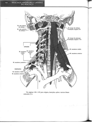 M. escaleno posterior
INSERÇÃO:
Ver páginas 148 e 149 para origens, inserções, ações e nervos desses
músculos (11).
 