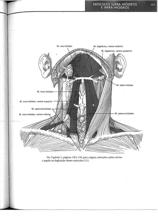 . r
M. omo-hióideo, ventre supeno
M. esterrlDtireóideo
M. orno- 1
h"óideo, ventre inferi
M. mio-hióideo . ntre anterior
M digástnco, ve ·ar
· . ntre posten
M. digástnco, ve
- - ' açõ", nem>'
, . as 138 e 139, para origens, inserçoe '
Vi
Capítulo 3, pagm úsculos (11).
~: de lutição desses rn
e papeis na g
 
