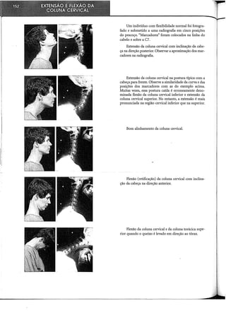 Um indivíduo com flexibilidade normal foi fotogra-
fado e submetido a uma radiografia em cinco posições
do pescoço. "Marcadores" foram colocados na linha do
cabelo e sobre a C7.
Extensão da coluna cervical com inclinação da cabe-
ça na direção posterior. Observar a aproximação dos mar-
cadores na radiografia.
Extensão da coluna cervical na postura típica com a
cabeça para frente. Observe a similaridade da curva e das
posições dos marcadores com as do exemplo acima.
Muitas vezes, essa postura caída é erroneamente deno-
minada flexão da coluna cervical inferior e extensão da
coluna cervical superior. No entanto, a extensão é mais
pronunciada na região cervical inferior que na superior.
Bom alinhamento da coluna cervical.
Flexão (retificação) da coluna cervical com inclina-
ção da cabeça na direção anterior.
Flexão da coluna cervical e da coluna torácica supe-
rior quando o queixo é levado em direção ao tórax.
 