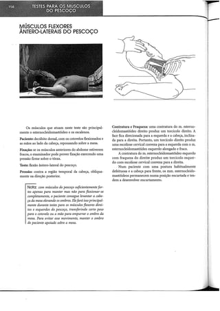 MÚSCULOS FLEXORES
ÂNTERO-LATERAIS DO PESCOÇO
Os músculos que atuam neste teste são principal-
mente o esternocleidomastóideo e os escalenos.
Paciente: decúbito dorsal, com os cotovelos flexionados e
as mãos ao lado da cabeça, repousando sobre a mesa.
Fixação: se os músculos anteriores do abdome estiverem
fracos, o examinador pode prover fixação exercendo uma
pressão firme sobre o tórax.
Teste: flexão ântero-lateral do pescoço.
Pressão: contra a região temporal da cabeça, obliqua-
mente na direção posterior.
Nota: com músculos do pescoço suficientemente for-
tes apenas para manter mas não para flexionar-se
completamente, o paciente consegue levantar a cabe-
ça da mesa elevando os ombros. Elefará isso principal-
mente durante testes para os músculos flexores direi-
tos e esquerdos do pescoço, transferindo certo peso
para o cotovelo ou a mão para empurrar o ombro da
mesa. Para evitar esse movimento, manter o ombro
do paciente apoiado sobre a mesa.
Contratura e Fraqueza: uma contratura do m. esterno-
cleidomastóideo direito produz um torcicolo direito. A
face fica direcionada para a esquerda e a cabeça, inclina-
da para a direita. Portanto, um torciColo direito produz
uma escoliose cervical convexa para a esquerda com o m.
esternocleidomastóideo esquerdo alongado e fraco.
A contratura do m. esternocleidomastóideo esquerdo
com fraqueza do direito produz um torcicolo esquer-
do com escoliose cervical convexa para a direita.
Num paciente com uma postura habitualmente
defeituosa e a cabeça para frente, os mm. esternocleido-
mastóideos permanecem numa posição encurtada e ten-
dem a desenvolver encurtamento.
 