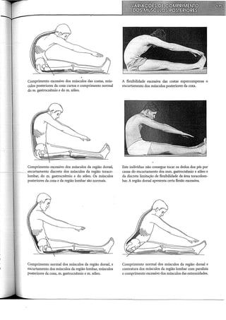 Comprimento excessivo dos músculos das costas, mús-
culos posteriores da coxa curtos e comprimento normal
do m. gastrocnêmio e do m. sóleo.
Comprimento excessivo dos músculos da região dorsal,
__encurtamento discreto dos músculos da região toraco-
lombar, do m. gastrocnêmio e do sóleo. Os músculos
posteriores da coxa e da região lombar são normais.
Comprimento normal dos músculos da região dorsal, e
encurtamento dos músculos da região lombar, músculos
posteriores da coxa, m. gastrocnêmio e m. sóleo.
A flexibilidade excessiva das costas supercompensa o
encurtamento dos músculos posteriores da coxa.
Este indivíduo não consegue tocar os dedos dos pés por
causa do encurtamento dos mm. gastrocnêmio e sóleo e
da discreta limitação de flexibilidade da área toracolom-
bar. A região dorsal apresenta certa flexão excessiva.
Comprimento normal dos músculos da região dorsal e
contratura dos músculos da região lombar com paralisia
e comprimento excessivo dos músculos das extremidades.
 