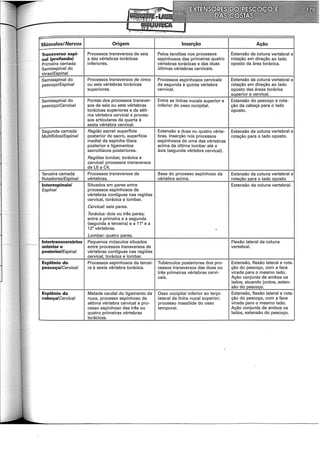 Músculos/Nervos Origem Inserção Ação
Transverso espi- Processos transversos de seis Pelos tendões nos processos Extensão da coluna vertebral e
nal (profundo) a dez vértebras torácicas espinhosos das primeiras quatro rotação em direção ao lado
Primeira camada inferiores. vértebras torácicas e das duas oposto da área torácica.
Semiespinal do últimas vértebras cervicais.
tórax!Espinal
Semiespinal do Processos transversos de cinco Processos espinhosos cervicais Extensão da coluna vertebral e
pescoço!Espinal ou seis vértebras torácicas da segunda à quinta vértebra rotação em direção ao lado
superiores. cervical. oposto das áreas torácica
superior e cervical.
Semiespinal do Pontas dos processos transver- Entre as linhas nucais superior e Extensão do pescoço e rota-
pescoço/Cervical sos de seis ou sete vértebras inferior do osso occipital. ção da cabeça para o lado
torácicas superiores e da séti- oposto.
ma vértebra cervical e proces-
sos articulares da quarta à
sexta vértebra cervical.
Segunda camada Região sacra/: superfície Extensão a duas ou quatro vérte- Extensão da coluna vertebral e
Multífidos/Espina/ posterior do sacro, superfície bras. Inserção nos processos rotação para o lado oposto.
mediai da espinha ilíaca espinhosos de uma das vértebras
posterior e ligamentos acima da última lombar até o
sacroilíacos posteriores. áxis (segunda vértebra cervical).
Regiões lombar, torácica e
cervical: processos transversos
de L5 a C4.
Terceira camada Processos transversos de Base do processo espinhoso da Extensão da coluna vertebral e
Rotadores!Espinal vértebras. vértebra acima. rotação para o lado oposto
lnterespinais/ Situados em pares entre Extensão da coluna vertebral.
Espinal processos espinhosos de
vértebras contíguas nas regiões
cervical, torácica e lombar.
Cervical: seis pares.
Torácica: dois ou três pares;
entre a primeira e a segunda
(segunda e terceira) e a 11• e a
12• vértebras. .
Lombar: quatro pares.
lntertransversários Pequenos músculos situados Flexão lateral da coluna
~~
ánterior e entre processos transversos de vertebral.
posterior/Espinal vértebras contíguas nas regiões
cervical, torácica e lombar.
Esplênio do Processos espinhosos da tercei- Tubérculos posteriores dos pro- Extensão, flexão lateral e rota-
pescoço/Cervical ra à sexta vértebra torácica. cessos transversos das duas ou ção do pescoço, com a face
três primeiras vértebras cervi- virada para o mesmo lado.
cais. Ação conjunta de ambos os
lados, atuando juntos, exten-
são do pescoço.
Esplênio da Metade caudal do ligamento da Osso occipital inferior ao terço Extensão, flexão lateral e rota-
cabeça/Cervical nuca, processo espinhoso da lateral da linha nucal superior; ção do pescoço, com a face
sétima vértebra cervical e pro- processo mastóide do osso virada para o mesmo lado.
cesso espinhoso das três ou temporal. Ação conjunta de ambos os
quatro primeiras vértebras lados, extensão do pescoço.
torácicas.
 