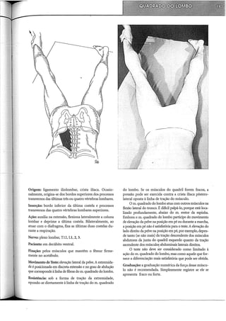 Origem: ligamento iliolombar, crista ilíaca. Ocasio-
nalmente, origina-se dos bordos superiores dos processos
transversos das últimas três ou quatro vértebras lombares.
Inserção: bordo inferior da última costela e processos
transversos das quatro vértebras lombares superiores.
Ação: auxilia na extensão, flexiona lateralmente a coluna
lombar e deprime a última costela. Bilateralmente, ao
atuar com o diafragma, fixa as últimas duas costelas du-
rante a respiração.
Nervo: plexo lombar, Tl2, LI, 2, 3.
Paciente: em decúbito ventral.
Fixação: pelos músculos que mantêm o fêmur firme-
mente no acetábulo.
Movimento de Teste: elevação lateral da pelve. A extremida-
de é posicionada em discreta extensão e no grau de abdução
que corresponde à linha de fibras do m. quadrado do lombo.
Resistência: sob a forma de tração da extremidade,
opondo-se diretamente à linha de tração do m. quadrado
do lombo. Se os músculos do quadril forem fracos, a
pressão pode ser exercida contra a crista ilíaca póstero-
lateral oposta à linha de tração do músculo.
O m. quadrado do lombo atua com outros músculos na
flexão lateral do tronco. É difícil palpá-lo, porque está loca-
lizado profundamente, abaixo do m. eretor da espinha.
Embora o m. quadrado do lombo participe do movimento
de elevação da pelve na posição em pé ou durante a marcha,
a posição em pé não é satisfatória para o teste. A elevação do
lado direito da pelve na posição em pé, por exemplo, depen-
de tanto (se não mais) da tração descendente dos músculos
abdutores da junta do quadril esquerdo quanto da tração
ascendente dos músculos abdominais laterais direitos.
O teste não deve ser considerado como limitado à
ação do m. quadrado do lombo, mas como aquele que for-
nece a diferenciação mais satisfatória que pode ser obtida.
Graduação: a graduação numérica da força desse múscu-
lo não é recomendada. Simplesmente registre se ele se
apresenta fraco ou forte.
 