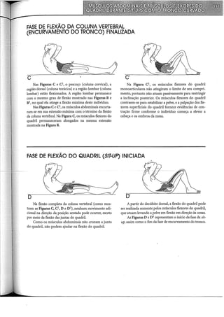 FASE DE FLEXÃO DA COLUNA VERTEBRAL
(ENCURVAMENTO DO TRONCO) FINALIZADA
Nas Figuras C e Cl, o pescoço (coluna cervical), a
região dorsal (coluna torácica) e a região lombar (coluna
lombar) estão flexionados. A região lombar permanece
com o mesmo grau de flexão mostrado nas Figuras B e
Bl, no qual ela atinge a flexão máxima deste indivíduo.
Nas Figuras Ce C1
, os músculos abdominais encurta-
ram-se em sua extensão máxima com o término da flexão
da coluna vertebral. Na Figura C, os músculos flexores do
quadril permaneceram alongados na mesma extensão
mostrada na Figura B.
C'
Na Figura O, os músculos flexores do quadril
monoarticulares não atingiram o limite de seu compri-
mento, portanto não atuam passivamente para restringir
a inclinação posterior. Os músculos flexores do quadril
contraem-se para estabilizar a pelve, e apalpação dos fle-
xores superficiais do quadril fornece evidências de con-
tração firme conforme o indivíduo começa a elevar a
cabeça e os ombros da mesa.
FASE DE FLEXÃO DO QUADRIL (S/T-UP) INICIADA
D
Na flexão completa da coluna vertebral (como mos-
tram as Figuras C, C1, De D1), nenhum movimento adi-
cional na direção da posição sentada pode ocorrer, exceto
por meio da flexão das juntas do quadril.
Como os músculos abdominais não cruzam a junta
do quadril, não podem ajudar na flexão do quadril.
D'
A partir do decúbito dorsal, a flexão do quadril pode
ser realizada somente pelos músculos flexores do quadril,
que atuam levando a pelve em flexão em direção às coxas.
As Figuras D eD1
representam o início da fase de sit-
up, assim como o fim da fase de encurvamento do tronco.
 