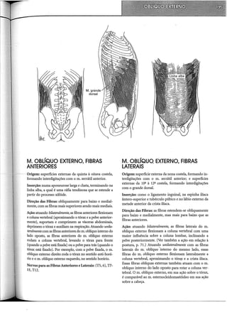M. ·gránde
dorsal
M. OBLÍQUO EXTERNO, FIBRAS
ANTERIORES
Origem: superfícies externas da quinta à oitava costela,
formando interdigitações com o m. serrátil anterior.
Inserção: numa aponeurose larga e chata, terminando na
linha alba, a qual é uma ráfia tendinosa que se estende a
partir do processo xifóide.
Direção das Fibras: obliquamente para baixo e mediai-
mente, com as fibras mais superiores sendo mais mediais.
Ação: atuando bilateralmente, as fibras anteriores flexionam
a coluna vertebral (aproximando o tórax e a pelve anterior-
mente), suportam e comprimem as vísceras abdominais,
deprimem o tórax e auxiliam na respiração. Atuando unila-
teralmentecom as fibras anteriores do m. oblíquo interno do
lado oposto, as fibras anteriores do m. oblíquo externo
rodam a coluna vertebral, levando o tórax para frente
(quando a pelve está fixada) ou a pelve para trás (quando o
tórax está fixado). Por exemplo, com a pelve fixada, o m.
oblíquo externo direito roda o tórax no sentido anti-horá-
rio e o m. oblíquo externo esquerdo, no sentido horário.
Nervos para as Fibras Anteriores e Laterais: (TS, 6), T7-
ll, Tl2.
M. OBLÍQUO EXTERNO, FIBRAS
LATERAIS
Origem: superfície externa da nona costela, formando in-
terdigitações com o m. serrátil anterior; e superfícies
externas da 10ª à 12-ª costela, formando interdigitações
com o grande dorsal.
Inserção: como o ligamento inguinal, na espinha iliaca
ântero-superior e tubérculo púbico e no lábio externo da
metade anterior da crista iliaca.
Direção das Fibras: as fibras estendem-se obliquamente
para baixo e medialmente, mas mais para baixo que as
fibras anteriores.
Ação: atuando bilateralmente, as fibras laterais do m.
oblíquo externo flexionam a coluna vertebral com uma
maior influência sobre a coluna lombar, inclinando a
pelve posteriormente. (Ver também a ação em relação à
postura, p. 71.) Atuando unilateralmente com as fibras
laterais do m. oblíquo 'interno do mesmo lado, essas
fibras do m. oblíquo externo flexionam lateralmente a
coluna vertebral, aproximando o tóra:?C e a crista iliaca.
Essas fibras oblíquas externas também atuam com o m.
oblíquo interno do lado oposto para rotar a coluna ver-
tebral. O m. oblíquo externo, em sua ação sobre o tórax,
é comparável ao m. esternocleidomastóideo em sua ação
sobre a cabeça.
 