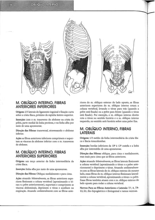 M. OBLÍQUO INTERNO, FIBRAS
ANTERIORES INFERIORES
Origem: 2/3laterais do ligamento inguinal e fixação curta
sobre a crista iliaca, próximo da espinha ântero-superior.
Inserção: com·o m. transverso do abdome na crista do
púbis, parte mediai da linha pectínea, e na linha alba por
meio de uma aponeurose.
Direção das Fibras: transversal, atravessando o abdome
inferior.
Ação: as fibras anteriores inferiores comprimem e supor-
tam as vísceras do abdome inferior com o m. transverso
do abdome.
M. OBLÍQUO INTERNO, FIBRAS
ANTERIORES SUPERIORES
Origem: um terço anterior da linha intermediária da
crista iliaca.
Inserção: linha alba por meio de uma aponeurose.
Direção das Fibras: Oblíqua medialmente e para cima.
Ação: atuando bilateralmente, as fibras anteriores supe-
riores flexionam a coluna vertebral (aproximando o tó-
rax e a pelve anteriormente), suportam e comprimem as
vísceras abdominais, deprimem o tórax e auxiliam na
respiração. Atuando unilateralmente com as fibras ante-
riores do m. oblíquo externo do lado oposto, as fibras
anteriores superiores do m. oblíquo interno rotam a
coluna vertebral, levando o tórax para trás (quando a
pelve está fixada) ou a pelve para frente (quando o tórax
está fixado). Por exemplo, o m. oblíquo interno direito
rota o tórax no sentido horário e o m. oblíquo interno
esquerdo, no sentido anti-horário sobre uma pelve fixa.
M. OBLÍQUO INTERNO, FIBRAS
LATERAIS
Origem: 1/3 médio da linha intermediária da crista ilia-
ca e fáscia toracolombar.
Inserção: bordas inferiores da 10ª à 12ª costela e a linha
alba por intermédio de uma aponeurose.
Direção das Fibras: oblíqua, para cima e medialmente,
mas mais para cima que as fibras anteriores.
Ação: atuando bilateralmente, as fibras laterais flexionam
a coluna vertebral (aproximando o tórax e a pelve ante-
riormente) e deprimem o t9rax. Atuando unilateralmen-
te com as fibras laterais do m. oblíquo externo do mesmo
lado, essas fibras do m. oblíquo interno flexionam lateral-
mente a coluna vertebral, aproximando o.tórax e a pelve.
Essas fibras também atuam com o m. oblíquo externo do
lado oposto para rodar a coluna vertebral.
Nervos Para as Fibras Anteriores e Laterais: T7, 8, T9-
12, Ll, ílio-hipogástrico e ilioinguinal e ramos ventrais.
 