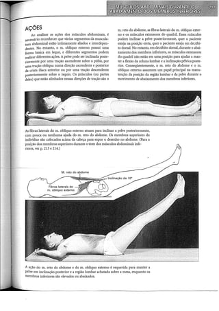 AÇÕES
Ao analisar as ações dos músculos abdominais, é
necessário reconhecer que vários segmentos da muscula-
tura abdominal estão intimamente aliados e interdepen-
dentes. No entanto, o m. oblíquo externo possui uma
forma básica em leque, e diferentes segmentos podem
realizar diferentes ações. A pelve pode ser inclinada poste-
riormente por uma tração ascendente sobre o púbis, por
uma tração oblíqua numa direção ascendente e posterior
da crista iliaca anterior ou por uma tração descendente
posteriormente sobre o ísquio. Os {Ilúsculos (ou partes
deles) que estão alinhados nessas direções de tração são o
m. reto do abdome, as fibras laterais dom. oblíquo exter-
no e os músculos extensores do quadril. Esses músculos
podem inclinar a pelve posteriormente, quer o paciente
esteja na posição ereta, quer o paciente esteja em decúbi-
to dorsal. No entanto, em decúbito dorsal, durante o abai-
xamento dos membros inferiores, os músculos extensores
do quadril não estão em uma posição para ajudar a man-
ter a flexão da coluna lombar e a inclinação pélvica poste-
rior. Conseqüentemente, o m. reto do abdome e o m.
oblíquo externo assumem um papel principal na manu-
tenção da posição da região lombar e da pelve durante o
movimento de abaixamento dos membros inferiores.
As fibras laterais do m. oblíquo externo atuam para inclinar a pelve posteriormente,
com pouca ou nenhuma ajuda do m. reto do abdome. Os membros superiores do
indivíduo são colocados acima da cabeça para expor o desenho no abdome. (Para a
posição dos membros superiores durante o teste dos músculos abdominais infe-
riores, ver p. 213 e 214.)
A ação do m. reto do abdome e do m. oblíquo externo é requerida para manter a
pelve em inclinação posterior e a região lombar achatada sobre a mesa, enquanto os
membros inferiores são elevados ou abaixados.
 