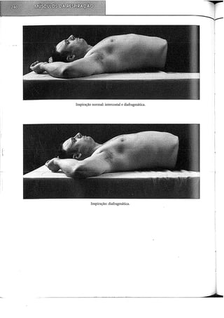 Inspiração normal: intercostal e diafragmática.
Inspiração: diafragmática.
 