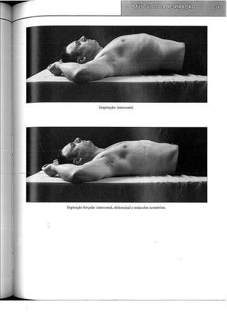 Inspiração: intercostal.
Expiração forçada: intercostal, abdominal e músculos acessórios.
 