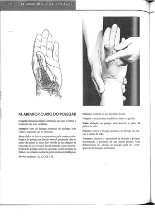 M. ABDUTOR CURTO DO POLEGAR
Origem: retináculo flexor, tubérculo do osso trapézio e
tubérculo do osso escafóide.
Inserção: base da falange proximal do polegar, lado
radial e expansão do m. extensor.
Ação: abduz as juntas carpometacarpal e metacarpofa-
lângica do polegar na direção ventral, perpendicular ao
plano da palma da mão. Em virtude de sua fixação na
expansão do m. extensor dorsal, estende a junta interfa-
lângica do polegar. Ajuda na oposição e pode auxiliar na
flexão e na rotação mediai da junta metacarpofalângica.
Nervo: mediano, C6, C7, C8 e TI.
Paciente: sentado ou em decúbito dorsal.
Fixação: o examinador estabiliza a mão e o punho.
Teste: abdução do polegar ventralmente a partir da
palma da mão.
Pressão: contra a falange proximal, na direção da adu-
ção à palma da mão.
Fraqueza: diminui a capacidade de abduzir o polegar,
dificultando a preensão de um objeto grande. Uma
deformidade em adução do polegar pode ser conse-
qüência de fraqueza acentuada.
 