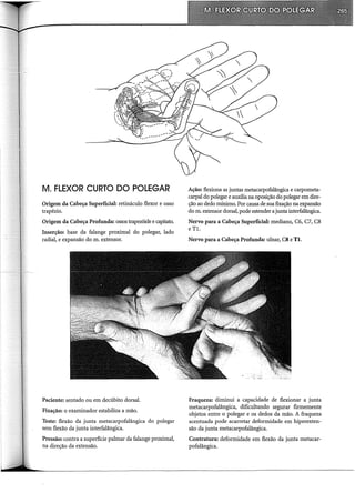M. FLEXOR CURTO DO POLEGAR
Origem da Cabeça Superficial: retináculo flexor e osso
trapézio.
Origem da Cabeça Profunda: ossos trapezóide e capitato.
Inserção: base da falange proximal do polegar, lado
radial, e expansão do m. extensor.
Paciente: sentado ou em decúbito dorsal.
Fixação: o examinador estabiliza a mão.
Teste: flexão da junta metacarpofalângica do polegar
sem flexão da junta interfalângica.
Pressão: contra a superfície palmar da falange proximal,
na direção da extensão.
Ação: flexiona as juntas metacarpofalângica e carpometa-
carpal do polegar e auxilia na oposição do polegar em dire-
ção ao dedo mínimo. Por causa de sua fixação na expansão
do m. extensor dorsal, pode estender a junta interfalângica.
Nervo para a Cabeça Superficial: mediano, C6, C7, C8
eTl.
Nervo para a Cabeça Profunda: ulnar, C8 e TI.
Fraqueza: diminui a capacidade de flexionar a junta
metacarpofalângica, dificultando segurar firmemente
objetos entre o polegar e os dedos da mão. A fraqueza
acentuada pode acarretar deformidade em hiperexten-
são da junta metacarpofalângica.
Contratura: deformidade em flexão da junta metacar-
pofalângica.
 
