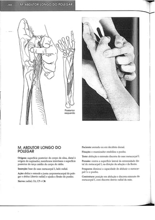I·
I
I
I
I
I
I
I
I
I
I
!

I
!
l
•
I
I
I
M. ABDUTOR LONGO DO
POLEGAR
Posterior
esquerdo
Origem: superfície posterior do corpo da ulna, distai à
origem do supinador, membrana interóssea e superfície
posterior do terço médio do corpo do rádio.
Inserção: base do osso metacarpal I, lado radial.
Ação: abduz e estende a junta carpometacarpal do pole-
gar e abduz (desvio radial) e ajuda a flexão do punho.
Nervo: radial, C6, C7 e CS.
Paciente: sentado ou em decúbito dorsal.
Fixação: o examinador estabiliza o punho.
Teste: abdução e extensão discreta do osso metacarpal I.
Pressão: contra a superfície lateral da extremidade dis-
tai do metacarpal I, na-direção da adução e da flexão.
Fraqueza: diminui a capacidade de abduzir o metacar-
pal I e o punho.
Contratura: posição em abdução e discreta extensão do
metacarpal I, com discreto desvio radial da mão.
 