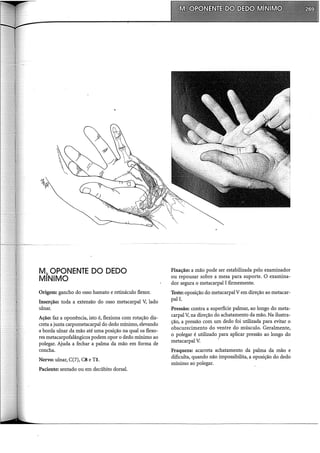 M:. OPONENTE DO DEDO
MINIMO
Origem: gancho do osso hamato e retináculo flexor.
Inserção: toda a extensão do osso metacarpal V, lado
ulnar.
Ação: faz a oponência, isto é, flexiona com rotação dis-
creta a junta carpometacarpal do dedo mínimo, elevando
a borda ulnar da mão até uma posição na qual os flexo-
res metacarpofalângicos podem opor o dedo mínimo ao
polegar. Ajuda a fechar a palma da mão em forma de
concha.
Nervo: ulnar, C(7), CS e TI.
Paciente: sentado ou em decúbito dorsal.
Fixação: a mão pode ser estabilizada pelo examinador
ou repousar sobre a mesa para suporte. O examina-
dor segura o metacarpal I firmemente.
Teste: oposição do metacarpalV em direção ao metacar-
pal L
Pressão: contra a superfície palmar, ao longo do meta-
carpa! V, na direção do achatamento da mão. Na ilustra-
ção, a pressão com um dedo foi utilizada para evitar o
obscurecimento do ventre do músculo. Geralmente,
o polegar é utilizado para aplicar pressão ao longo do
metacarpal V. ·
Fraqueza: acarreta achatamento da palma da mão e
dificulta, quando não impossibilita, a oposição do dedo
mínimo ao polegar.
 