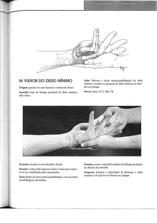M. FLEXOR DO DEDO MÍNIMO
Origem: gancho do osso hamato e retináculo flexor.
Inserção: base da falange proximal do dedo mínimo,
lado ulnar.
Paciente: sentado ou em decúbito dorsal.
Fixação: a mão pode repousar sobre a mesa para supor-
te ou ser estabilizada pelo examinador.
Teste: flexão da junta metacarpofalângica, com as juntas
interfalângicas estendidas.
Ação: flexiona a junta metacarpofalângica do dedo
mínimo e auxilia na oposição do dedo mínimo em dire-
ção ao polegar.
Nervo: ulnar, C(7), CS e TI.
Pressão: contra a superfície palmar da falange proximal,
na direção da extensão.
Fraqueza: diminui a capacidade de flexionar o dedo
mínimo e de opô-lo em direção ao polegar.
 