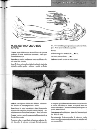 M. FLEXOR PROFUNDO DOS
DEDOS
Origem: superfícies anterior e medial dos três quartos
proximais da ulna, membrana interóssea e fáscia pro-
funda do antebraço.
Inserção: por quatro tendões, nas bases das falanges dis-
tais, superfície anterior.
Ação: flexiona as juntas interfalângicas distais dos dedos
indicador, médio, anular e mínimo e auxilia na flexão
Fixação: com o punho em discreta extensão, o examina-
dor estabiliza as falanges pro:x:imal e média.
Teste: flexão da junta interfalângica distal do segundo,
terceiro, quarto e quinto dedos da mão. Cada dedo é tes-
tado da maneira ilustrada acima para o dedo indicador.
Pressão: contra a superfície palmar da falange distal, na
direção da extensão.
Fraqueza: reduz a capacidade de flexionar as juntas dis-
tais dos dedos da mão em proporção direta à extensão
Vista palmar
das juntas interfalângicas proximais e metacarpofalân-
gicas. Pode ajudar na flexão do punho.
Nervos:
Primeiro e segundo: mediano, C7, CS e TI.
Terceiro e quarto: ulnar, C7, CS e TI.
Paciente: sentado ou em decúbito dorsal.
da fraqueza, porque este é o único músculo que flexiona
as juntas interfalângicas distais. A força de flexão das
juntas interfalângica pro:x:imal, metacarpofalângica e do
punho pode diminuir.
Contratura: deformidade em flexão das-falanges distais
dos dedos da mão.
Encurtamento: flexão dos dedos da mão se o punho
estiver estendido ou extensão do punho se os dedos esti-
verem estendidos.
 