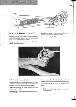 M. FLEXOR RADIAL DO CARPO
Origem: tendão do músculo flexor comum, a partir do
epicôndilo mediai do úmero, e fáscia do antebraço. (A
fáscia é indicada pelas linhas paralelas.)
Inserção: base do osso metacarpal II e uma faixa até a
base do osso metacarpal III.
Paciente: sentado oil em decúbito dorsal.
Fixação: o antebraço é colocado em posição um pouco
abaixo da supinação completa e pode repousar sobre a
mesa pai-a suporte ou é segurado pelo examinador.
Teste: flexão do punho em direção ao lado radial. (Ver
Nota na página ao lado.)
Pressão: contra a eminência tênar, na direção da exten-
são ao lado ulnar.
Ação: flexiona e abduz o punho e pode auxiliar na pro-
nação do antebraço e na flexão do cotovelo.
Nervo: mediano, C6, C7 e C8.
Fraqueza: reduz a fôrça de flexão do punho, e a força de
pronação pode diminuir. Permite um desvio ulnar da mão.
Encurtamento: flexão do punho em direção ao lado
radial.
Nota: o m. palmar longo não pode ser desconside-
rado neste teste.
 