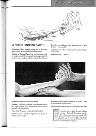 M. FLEXOR ULNAR DO CARPO
Origem da Cabeça Umeral: tendão do m. flexor co-
mum, a pirrtir do epicôndilo mediai do úmero.
Origem da Cabeça Ulnar: pela aponeurose, a partir
da margem mediai do olécrano, dois terços proximais da
borda posterior da ulna e da fáscia profunda do antebraço.
Paciente: sentado ou em decúbito dorsal.
Fixação: o antebraço é colocado em supinação comple-
ta e pode repousar sobre a mesa para suporte ou ser
segurado pelo examinador.
Teste: flexão do punho em direção ao lado ulnar.
Pressão: contra a eminência hipotênar, na direção da
extensão ao lado radial.
Inserção: osso pisiforme e, por ligamentos, até os ossos
hamato e metacarpal V.
Ação: flexiona e aduz o punho e pode auxiliar na flexão
do cotovelo.
Nervo: ulnar, C7, CS e Tl.
Fraqueza: diminui a força de flexão do punho e pode
acarretar desvio radial da mão.
Encurtamento: flexão do punho em direção ao lado ulnar.
Nota: normalmente, os dedos da mão relaxam
quando o punho é flexionado. Entretanto, se os de-
dos da mão se flexionarem ativamente quando afle-
xão do punho for iniciada, os mm. flexores profundo
esuperficial dos dedos da mão estarão tentando subs-
tituir os músculos flexores do punho.
 