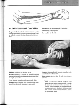 .
M. EXTENSOR ULNAR DO CARPO
Origem: tendão do músculo extensor comum, a partir
do epicôndilo lateral do úmero, pela aponeurose a par-
tir da borda posterior da ulna e fáscia profunda do ante-
braço.
Paciente: sentado ou em decúbito dorsal.
Fixação: o antebraço é colocado em pronação completa
e pode repousar sobre a mesa para suporte ou ser segu-
rado pelo examinador.
Teste: extensão do punho em direção ao lado ulnar.
Pressão: contra o dorso da mão, ao longo do osso meta-
carpa! V, na direção da flexão para o lado radial.
Inserção: base do osso metacarpal V, lado ulnar.
Ação: estende e aduz o punho
Nervo: radial, C6, C7 e C8.
Fraqueza: diminui a força de extensão do punho e pode
acarretar desvio radial da mão.
Encurtamento: desvio ulnar da mão com discreta
extensão.
Nota: normalmente, os dedos da mão ficam numa
posição de flexãe passiva quando o punho é estendi-
do. Entretanto, se os dedos da mão se estenderem ati-
vamente quando a extensão do punho for iniciada,
os músculos extensores (dos dedos, do indicador e do
dedo mínimo) estarão tentando su~stituir os múscu-
los extensores do punho.
 
