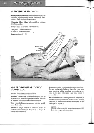 M. PRONADOR REDONDO
Origem da Cabeça Umeral: imediatamente acima do
epicôndilo mediai do úmero, tendão do músculo flexor
comum e fáscia profunda do antebraço.
Origem da Cabeça Ulnar: lado mediai do processo
coronóide da ulna.
Inserção: meio da superfície lateral do rádio.
Ação: prona o antebraço e auxilia
na flexão da junta do cotovelo.
Nervo: mediano, C6 e C7.
MM. PRONADORES REDONDO
E QUADRADO
Paciente: em decúbito dorsal ou sentado.
Fixação: o cotovelo deve ser mantido bem ao lado do
paciente ou ser estabilizado pelo examinador, para evi-
tar qualquer movimento de abdução do ombro.
Teste: pronação do antebraço, com o cotovelo parcial-
mente flexionado.
Pressão: na porção inferior do antebraço, acima do
punho (para evitar a torção do punho), na direção da
supinação do antebraço.
Fraqueza: permite a supinação do antebraço e inter-
fere em muitas atividades do dia-a-dia, como girar
uma maçaneta, utilizar uma faca para cortar carne e
virar a mão para baixo para pegar uma xícara ou
outro objeto.
Encurtamento: com o antebraço mantido em pronação,
interfere acentuadamênte em muitas funções normais
da mão e do antebraço que exigem a passagem da pro-
nação para a supinação.
IN'cta: evitar comprimir concomitan-temente o rádio
Ie a ulna porque pode causar dor.
 