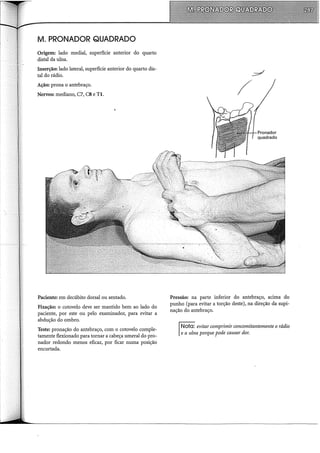 M. PRONADOR QUADRADO
Origem: lado mediai, superfície anterior do quarto
distai da ulna.
Inserção: lado lateral, superfície anterior do quarto dis-
tai do rádio.
Ação: prona o antebraço.
Nervos: mediano, C7, CS e TI.
Paciente: em decúbito dorsal ou sentado.
Fixação: o cotovelo deve ser mantido bem ao lado do
paciente, por este ou pelo examinador, para evitar a
abdução do ombro.
Teste: pronação do antebraço, com o cotovelo comple-
tamente flexionado para tornar a cabeça umeral do pro-
nador redondo menos eficaz, por ficar numa posição
encurtada.
Pressão: na parte inferior do antebraço, acima do
punho (para evitar a torção deste), na direção da supi-
nação do antebraço.
Nota: evitar comprimir concomitantemente o rádio
e a ulna porque pode causar dor.
 
