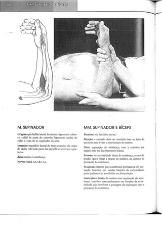 M. SUPINADOR
Origem: epicôndilo lateral do úmero, ligamento colate-
ral radial da junta do cotovelo, ligamento anular do
rádio e crista do m. supinador da ulna.
Inserção: superfície lateral do terço superior do corpo
do rádio, cobrindo parte das superfícies anterior e pos-
terior.
Ação: supina o antebraço.
Nervo: radial, CS, C6 e C7.
MM. SUPINADOR E BÍCEPS
Paciente: em decúbito dorsal.
Fixação: o cotovelo deve ser mantido bem ao lado do
paciente para evitar o movimento do ombro.
Teste: supinação do antebraço, com o cotovelo em
ângulo reto ou discretamente abaixo.
Pressão: na extremidade distai do antebraço, acima do
punho (para evitar a torção do punho), na direção da
pronação do antebraço.
Fraqueza: permite que o antebraço permaneça em pro-
nação. Interfere em muitas funções da extremidade,
principalmente as envolvidas na alimentação.
Contratura: flexão do ombro com supinação do ante-
braço. Interfere acentuadamente em funções da extre-
midade que envolvem a passagem da supinação para a
pronação do antebraço.
 