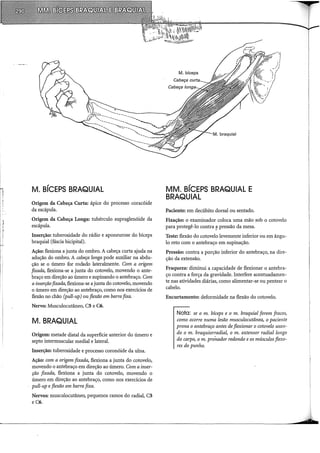 fi
i l
''
! I
! !
i!
M. BÍCEPS BRAQUIAL
Origem da Cabeça Curta: ápice do processo coracóide
da escápula.
Origem da Cabeça Longa: tubérculo supraglenóide da
escápula.
Inserção: tuberosidade do rádio e aponeurose do bíceps
braquial (fáscia bicipital).
Ação: flexiona a junta do ombro. A cabeça curta ajuda na
adução do ombro. A cabeça ·zanga pode auxiliar na abdu-
ção se o úmero for rodado lateralmente. Com a origem
fixada, flex:iona-se a junta do cotovelo, movendo o ante-
braço em direção ao úmero e supinando o antebraço. Com
ainserçãofixada, flexiona-se a junta do cotovelo, movendo
o úmero em direção ao antebraço, como nos exercícios de
flexão no chão (pull-up) ou flexão em barra fixa.
Nervo: Musculocutâneo, CS e C6.
M. BRAQUIAL
Origem: metade distai da superfície anterior do úmero e
septo intermuscular mediai e lateral.
Inserção: tuberosidade e processo coronóide da ulna.
Ação: com a origem fixada, fl.ex:iona a junta do cotovelo,
movendo o antebraço em direção ao úmero. Com a inser-
ção fixada, flexiona a junta do cotovelo, movendo o
úmero em direção ao antebraço, como nos exercícios de
pull-up e flexão em barra fixa.
Nervos: musculocutâneo, pequenos ramos do radial, CS
e C6.
MM. BÍCEPS BRAQUIAL E
BRAQUIAL
Paciente: em decúbito dorsal ou sentado.
Fixação: o examinador coloca uma mão sob o cotovelo
para protegê-lo contra ~ pressão da mesa.
Teste: flexão do cotovelo levemente inferior ou em ângu-
lo reto com o antebraço em supinação.
Pressão: contra a porção inferior do antebraço, na dire-
ção da extensão.
Fraqueza: diminui a capacidade de flexionar o antebra-
ço contra a força da gravidade. Interfere acentuadamen-
te nas atividades diárias, como alimentar-se ou pentear o
cabelo.
Encurtamento: deformidade na flexão do cotovelo.
Nota: se o m. bíceps e o m. braquial forem fracos,
como ocorre numa lesão musculocutânea, o paciente
prona o antebraço antes de flexionar o cotovelo usan-
do o m. braquiorradial, o m. extensor radial longo
do carpa, o m. pronador redondo e os músculos flexo-
res do punho.
 