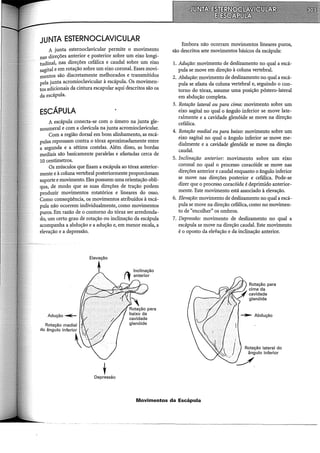 JUNTA ESTERNOCLAVICULAR
A junta esternoclavicular permite o movimento
nas direções anterior e posterior sobre um eixo longi-
tudinal, nas direções cefálica e caudal sobre um eixo
sagital e em rotação sobre um eixo coronal. Esses movi-
mentos são discretamente melhorados e transmitidos
pela junta acromioclavicular à escápula. Os movimen-
tos adicionais da cintura escapular aqui descritos são os
da escápula.
ESCÁPULA
A escápula conecta-se com o úmero na junta gle-
noumeral e com a clavícula na junta acromioclavicular.
Com a região dorsal em bom alinhamento, as escá-
pulas repousam contra o tórax aproximadamente entre
a segunda e a sétima costelas. Além disso, as bordas
mediais são basicamente paralelas e afastadas cerca de
10 centímetros.
Os músculos que fixam a escápula ao tórax anterior-
mente e à coluna vertebral posteriormente proporcionam
suporte e movimento. Eles possuem uma orientação oblí-
qua, de modo que as suas direções de tração podem
produzir movimentos rotatórios e lineares do osso.
Como conseqüência, os movimentos atribuídos à escá-
pula não ocorrem individualmente, como movimentos
puros. Em razão de o contorno do tórax ser arredonda-
do, um certo grau de rotação ou inclinação da escápula
acompanha a abdução e a adução e, em menor escala, a
elevação e a depressão.
Adução~
'
Depressão
Embora não ocorram movimentos lineares puros,
são descritos sete movimentos básicos da escápula:
1. Adução: movimento de deslizamento no qual a escá-
pula se move em direção à coluna vertebral.
2. Abdução: movimento de deslizamento no qual a escá-
pula se afasta da coluna vertebral e, seguindo o con-
torno do tórax, assume uma posição póstero-lateral
em abdução completa.
3. Rotação lateral ou para cima: movimento sobre um
eixo sagital no qual o ângulo inferior se move late-
ralmente e a cavidade glenóide se move na direção
cefálica.
4. Rotação medial ou para baixo: movimento sobre um
eixo sagital no qual o ângulo inferior se move me-
dialmente e a cavidade glenóide se move na direção
caudal.
5. Inclinação anterior: movimento sobre um eixo
coronal no qual o processo coracóide se move nas
direções anterior e caudal enquanto o ângulo inferior
se move nas direções posterior e cefálica. Pode-se
dizer que o processo coracóide é deprimido anterior-
mente. Este movimento está associado à elevação.
6. Elevação: movimento de deslizamento no qual a escá-
pula se move na direção cefálica, como no movimen-
to de "encolher" os ombros.
7. Depressão: movimento de deslizamento no qual a
escápula se move na direção caudal. Este movimento
é o oposto da elevação e da inclinação anterior.
Rotação lateral do
ângulo inferior
Movimentos da Escápula
 