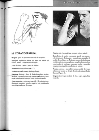 A
M. CORACOBRAQUIAL
Origem: ápice do processo coracóide da escápula.
Inserção: superfície mediai do meio da diáfise do
úmero, oposta à tuberosidade deltóide.
Ação: flexiona e aduz a junta do ombro.
Nervos: musculocutâneo, C6 e C7.
Paciente: sentado ou em decúbito dorsal.
Fraqueza: diminui a força da flexão do ombro, particu-
larmente em movimentos que envolvem a flexão e a supi-
nação completa do cotov~lo, como pentear o cabelo.
Encurtamento: o processo coracóide é deprimido ante-
riormente quando o membro superior está posicionado
para baixo na lateral do corpo.
Fixação: não é necessária se o tronco estiver estável.
Teste: flexão do ombro em rotação lateral, com o coto-
velo totalmente flexionado e o antebraço supinado. O
auxilio do m. bíceps na flexão do ombro diminui nessa
posição de teste, porque a flexão completa do cotovelo e
a supinação do antebraço encurtam muito o músculo
para que ele seja efetivo na flexão do ombro.
Pressão: contra a superfície ântero-medial do terço
inferior do úmero, na direcão da extensão e da abducão
discreta (Figura B). ' '
Origem: dois terços mediais da fossa supra-espinal da
escápula.
 