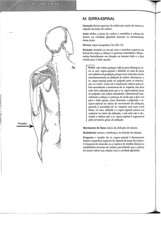 UI
J.,
~j
•
1
••
~;
~11 .
~.;
I
Pressão
M. SUPRA-ESPINAL
Inserção: faceta superior do tubérculo maior do úmero e
cápsula da junta do ombro.
Ação: abduz a junta do ombro e estabiliza a cabeça do
úmero na cavidade glenóide durante os movimentos
dessa junta.
Nervos: supra-escapular, C4, C5 e C6.
Paciente: sentado ou em pé, com o membro superior na
lateral do corpo, a cabeça e o pescoço estendidos e flexio-
nados lateralmente em direção ao mesmo lado e a face
virada para o lado oposto.
Nota: não éfeito qualquer esforço para distinguir en-
tre os mm. supra-espinal e deltóide no teste de força
com objetivo degradação, porque esses músculos atuam
simultaneamente na abdução do ombro. Entretanto, o
m. supra-espinal pode ser palpado para se determi-
nar se é ativo. Como ele é totalmente coberto pelasfi-
bras ascendentes e transversas do m. trapézio, este deve
estar bem relaxado para que o m. supra-espinal possa
serpalpado. Isso éfeito estendendo eflexionando late-
ralmente a cabeça e opescoço, de modo que aface vire
para o lado oposto, como ilustrado, e palpando o m.
supra-espinal no início do movimento de abdução,
quando a atividade do m. trapézio está num nível
baixo. Os mm. deltóide e o supra-espinal atuam em
conjunto no início da abdução, e este teste não é des-
tinado a indicar qúe o m. supra-espinal é responsável
pelos primeiros graus de abdução. ·
Movimento de Teste: início da abdução do úmero.
Resistência: contra o antebraço, na direção da adução.
Fraqueza: o tendão do m. supra-espinal é firmemente
fixado à superfície superior da cápsula da junta do ombro.
A fraqueza do músculo ou a ruptura do tendão diminui a
estabilidade da junta do ombro, permitindo que a cabeça
do úmero altere sua relação com a cavidade glenóide.
 