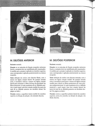 M. DELTÓIDE ANTERIOR
Paciente: sentado.
Fixação: se os músculos de fixação escapular estiverem
fracos, a escápula deve ser estabilizada pelo examinador.
À medida que a pressão é aplicada no membro superior,
uma contrapressão é aplicada posteriormente na cintura
escapular.
Teste: abdução do ombro com discreta flexão, com o
úmero em ligeira rotação lateral. Na posição sentada
ereta, é necessário colocar o úmero em ligeira rotação
lateral para aumentar o efeito da força da gravidade nas
fibras anteriores. (A ação anatômica do m. deltóide ante-
rior, a qual requer uma leve rotação mediai, faz parte do
teste do m. deltóide anterior em decúbito dorsal. Ver
página ao lado.)
Pressão: contra a superfície ântero-medial do membro
superior, na direção da adução e da extensão discreta.
M. DELTÓIDE POSTERIOR
Paciente: sentado.
Fixação: se os músculps de fixação escapular estiverem
fracos, a escápula deve ser estabilizada pelo examinador.
À medida que a pressão é aplicada no membro superior,
uma contrapressão é aplicada anteriormente na cintura
escapular.
Teste: abdução do ombro com discreta extensão, com o
úmero em ligeira rotação mediai. Na posição sentada
ereta, é necessário posicionar o úmero em ligeira rotação
mediai para colocar as fibras posteriores em uma posi-
ção antigravitacional. (A ação anatômica do m. deltóide
posterior, a qual requer uma leve rotação lateral, faz
parte do teste do m. deltóide posterior em decúbito dor-
sal. Ver página ao lado.)
Pressão: contra a superfície póstero-lateral do membro
superior, acima do cotovelo, na direção da adução e da
flexão discreta. ·
 