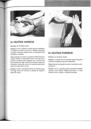 M. DELTÓIDE ANTERIOR
Paciente: em decúbito dorsal.
Fixação: os mm. trapézio e serrátil anterior estabilizam
a escápula em todos os testes do m. deltóide, entretanto,
caso esses músculos estejam fracos, o examinador deve
estabilizar a escápula.
Teste: abdução do ombro na posição de flexão discreta e
rotação mediai. O examinador coloca uma mão sob o
punho do paciente para assegurar que o cotovelo não
será elevado pela ação reversa dos músculos extensores
do punho, o que pode ocorrer se o paciente puder pres-
sionar sua mão sobre o tórax.
Pressão: contra a superfície anterior do membro supe-
rior, logo acima do cotovelo, na direção da adução à
lateral do corpo.
M. DELTÓIDE POSTERIOR
Paciente: em decúbito ventral.
Fixação: a escápula deve ser mantida estável, seja pelos
músculos escapulares, seja pelo examinador.
Teste: abdução horizontal do ombro com discreta rota-
ção lateral.
Pressão: contra a superfície póstero-lateral do membro
superior, numa direção oblíqua para baixo e a meio
caminho entre a adução e a adução horizontal.
 