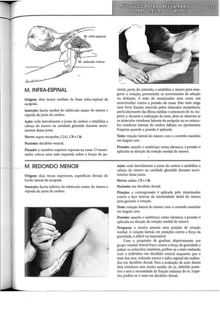 M.INFRA-ESPINAL
Origem: dois terços mediais da fossa infra-espinal da
escápula.
Inserção: faceta mediai do tubérculo maior do úmero e
cápsula da junta do ombro.
Ação: roda lateralmente a junta do ombro e estabiliza a
cabeça do úmero na cavidade glenóide durante movi-
mentos dessa junta.
Nervo: supra-escapular, C(4), C5 e C6.
Paciente: decúbito ventral.
Fixação: o membro superior repousa na mesa. O exami-
nador coloca uma mão esquerda sobre o braço do pa-
M. REDONDO MENOR
Origem: dois terços superiores, superfícies dorsais do
bordo lateral da escápula.
Inserção: faceta inferior do tubérculo maior do úmero e
cápsula da junta do ombro.
ciente, perto do cotovelo, e estabiliza o úmero para asse-
gurar a rotação, prevenindo os movimentos de adução
ou abdução. A mão do examinador atua como um
amortecedor contra a pressão da mesa. Este teste exige
uma forte fixação exercida pelos músculos escapulares,
particularmente das fibras médias e anteriores do m. tra-
pézio e, durante a realização do teste, deve-se observar se
os músculos rotadores laterais da escápula ou os múscu-
los rotadores laterais do ombro falham ou apresentam
fraqueza quando a pressão é aplicada.
Teste: rotação lateral do úmero com o cotovelo mantido
em ângulo reto.
Pressão: usando o antebraço como alavanca, a pressão é
aplicada na direção da rotação mediai do úmero.
Ação: roda lateralmente a junta do ombro e ~stabiliza a
cabeça do úmero na cavidade glenóide durante movi-
mentos dessa junta.
Nervo: axilar, C5 e C6.
Paciente: em decúbito dorsal.
Fixação: a contrapressão é aplicada pelo examinador
contra a face interna da extremidade distai do úmero
para garantir a rotação.
Teste: rotação lateral do úmero com o cotovelo mantido
em ângulo reto.
Pressão: usando o antebraço como alavanca, a pressão é
aplicada na direção da rotação mediai do úmero.
Fraqueza: o úmero assume uma posição de rotação
mediai. A rotação lateral, em posições contra a força da
gravidade, é difícil ou impossível.
Com o propósito de graduar objetivamente um
grupo rotador lateral fraco contra a força da gravidade e
palpar os músculos rotadores, prefere-se. o teste realizado
com o indivíduo em decúbito ventral enquanto que o
teste dos mrn. redondo menor e infra-espinal são realiza-
dos em decúbito dorsal. Para a avaliação da ação desses
dois rotadores sem muito auxílio do m. deltóide poste-
rior e sem a necessidade de fixação máxima do m. trapé-
zio, prefere-se o teste em decúbito dorsal.
 