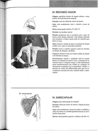 M. subescapular
M. REDONDO MAIOR
Origem: superfícies dorsais do ângulo inferior e terço
inferior da borda lateral da escápula.
Inserção: crista do tubérculo menor do úmero.
Ação: roda medialmente, aduz e estende a junta do
ombro.
Nervo: subescapular inferior, CS, C6 e C7.
Paciente: em decúbito ventral.
Fixação: geralmente não é necessária, pois o peso do
tronco provê fixação suficiente. Caso fixação adicional
seja necessária, o ombro oposto pode ser mantido para
baixo na mesa.
Teste: extensão e adução do úmero na posição de rotação
mediai, com a mão na crista ilíaca posterior.
Pressão: contra o membro superior, acima do cotovelo,
na direção da abdução e da flexão.
Fraqueza: diminui a força da rotação mediai, da adução
e da extensão do úmero.
Encurtamento: impede a amplitude total da rotação
lateral e da abdução do úmero. Com a contração do m.
redondo maior, a escápula começa a rodar lateralmente
quase simultaneamente com a flexão ou a abdução. Os
movimentos escapulares que acompanham a flexão e a
abdução do ombro são influenciados pelo grau de en-
curtamento muscula-r dos mm. redondo maior e subes-
capular.
M. SUBESCAPULAR
Origem: fossa subescapular da escápula.
Inserção: tubérculo menor do úmero e cápsula da junta
do ombro.
Ação: roda medialmente a junta do ombro e estabiliza a
cabeça do úmero na cavidade glenóidedurante os movi-
mentos dessa junta.
Nervos: subescapulares superior e inferior, C5, C6 e C7.
--------
 