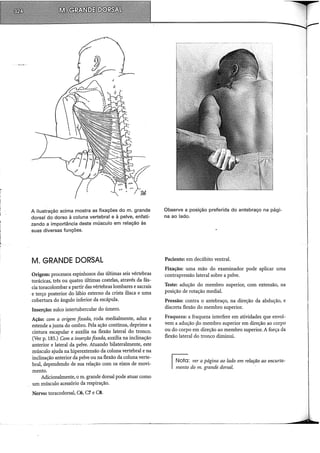 A ilustração acima mostra as fixações do m. grande
dorsal do dorso à coluna vertebral e à pelve, enfati-
zando a importância deste músculo em relação às
suas diversas funções.
M. GRANDE DORSAL
Origem: processos espinhosos das últimas seis vértebras
torácicas, três ou quatro últimas costelas, através da fás-
cia toracolombar a partir das vértebras lombares e sacrais
e terço posterior do lábio externo da crista iliaca e uma
cobertura do ângulo inferior da escápula.
Inserção: sulco intertubercular do úmero.
Ação: com a origem fixada, roda medialmente, aduz e
estende a junta do ombro. Pela ação contínua, deprime a
cintura escapular e auxilia na flexão lateral do tronco.
(Ver p. 185.) Com a inserção fixada, auxilia na inclinação
anterior e lateral da pelve. Atuando bilateralmente, este
músculo ajuda na hiperextensão da coluna vertebral e na
inclinação anterior da pelve ou na flexão da coluna verte-
bral, dependendo de sua relação com os eixos de movi-
mento.
Adicionalmente, o m. grande dorsal pode atuar como
um músculo acessório da respiração.
Nervo: toracodorsal, C6, C7 e CS.
Observe a posição preferida do antebraço na pági-
na ao lado.
Paciente: em decúbito ventral.
Fixação: uma mão do examinador pode aplicar uma
contrapressão lateral sobre a pelve.
Teste: adução do membro superior, com extensão, na
posição de rotação mediai.
Pressão: contra o antebraço, na direção da abdução, e
discreta flexão do membro superior.
Fraqueza: a fraqueza interfere em atividades que envol-
vem a adução çlo membro superior em direção ao corpo
ou do corpo em direção ao membro superior. A força da
flexão lateral do tronco diminui.
Nota: ver a página ao lado em relação ao encurta-
mento do m. grande dorsal.
 